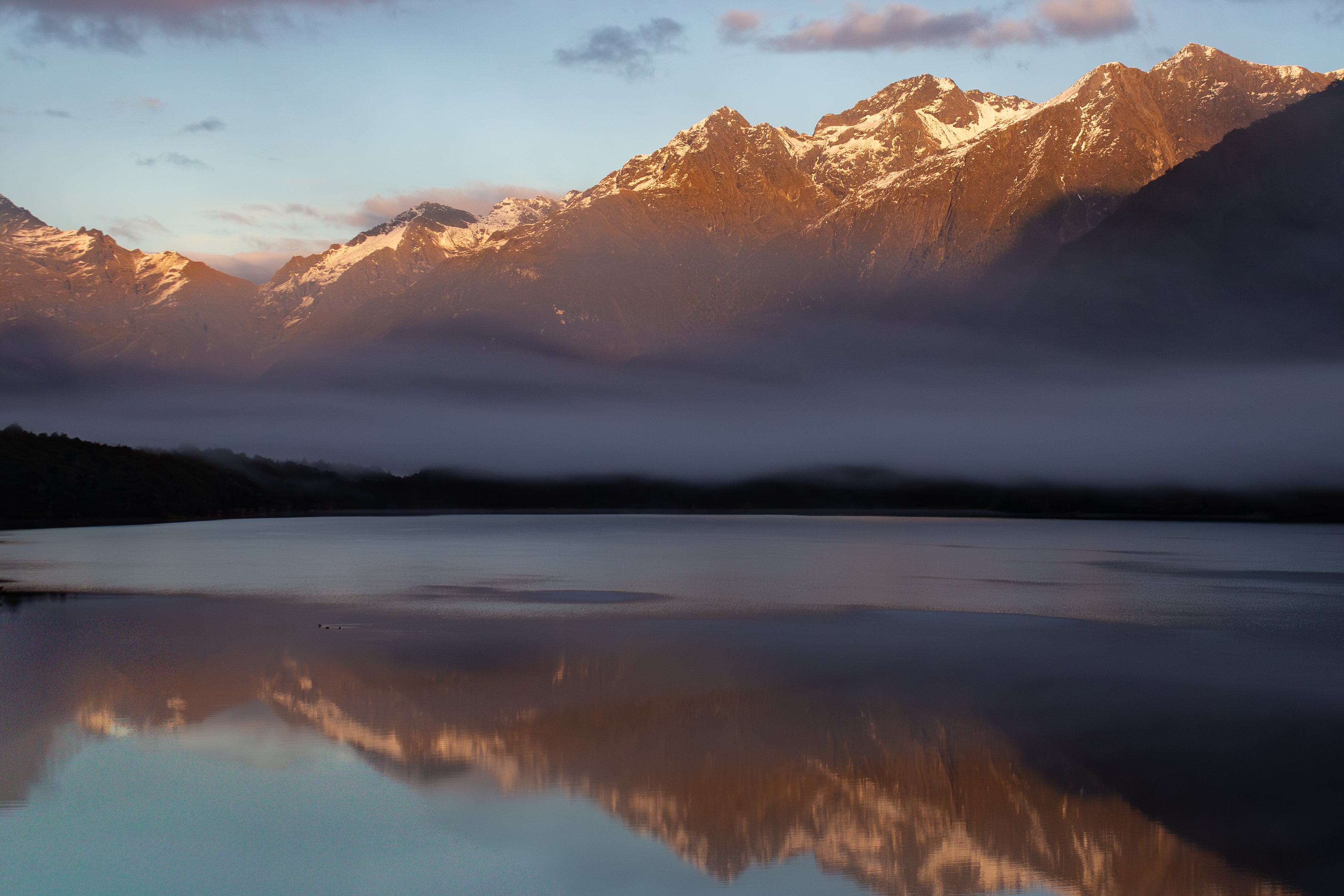 Hues of NZ